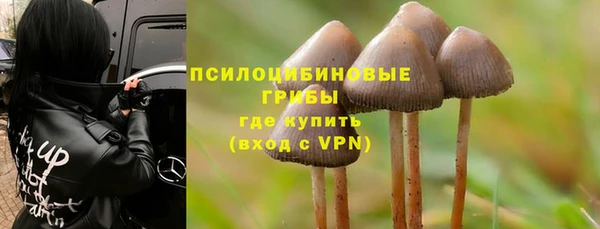 ешки Чегем