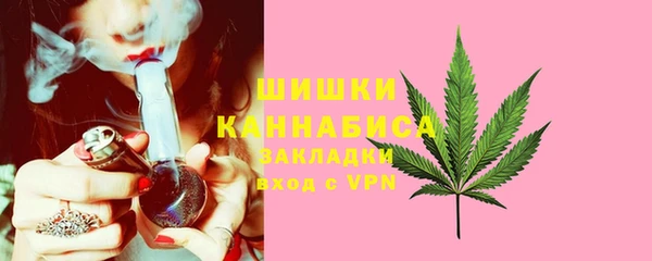 ГАЛЛЮЦИНОГЕННЫЕ ГРИБЫ Заволжск